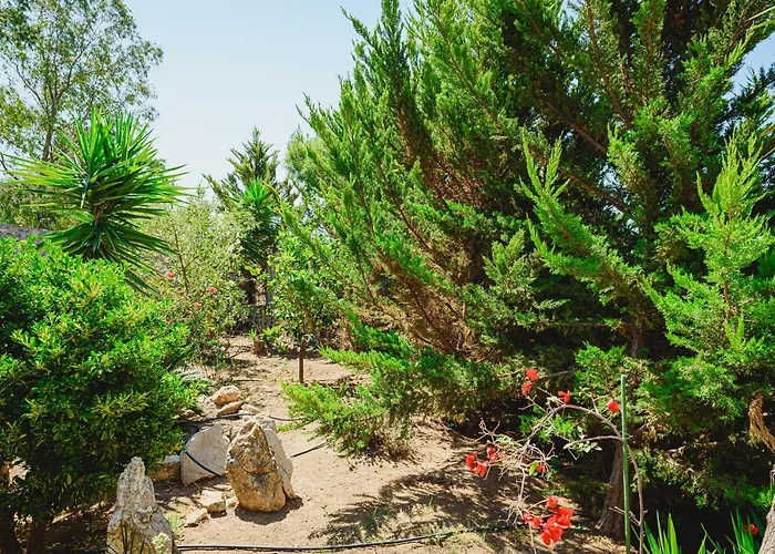 Angelos Ερμιόνη