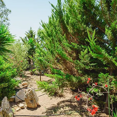 Angelos Ερμιόνη